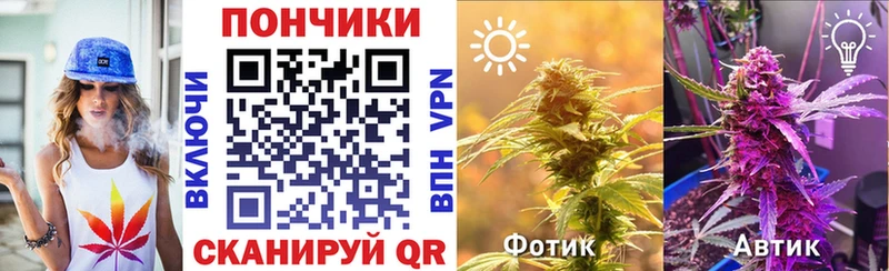 Купить ГАШИШ  КОКАИН  Меф мяу мяу  Псилоцибиновые грибы  Каннабис  СК  Бабушкин