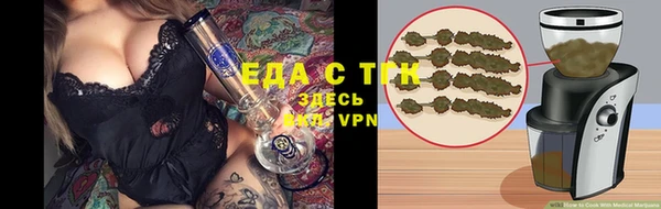 индика Балабаново