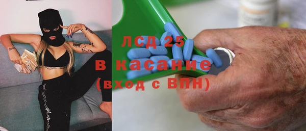 индика Балабаново