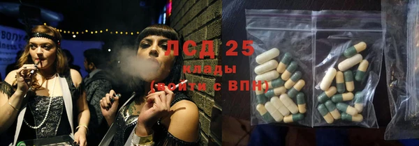 индика Балабаново